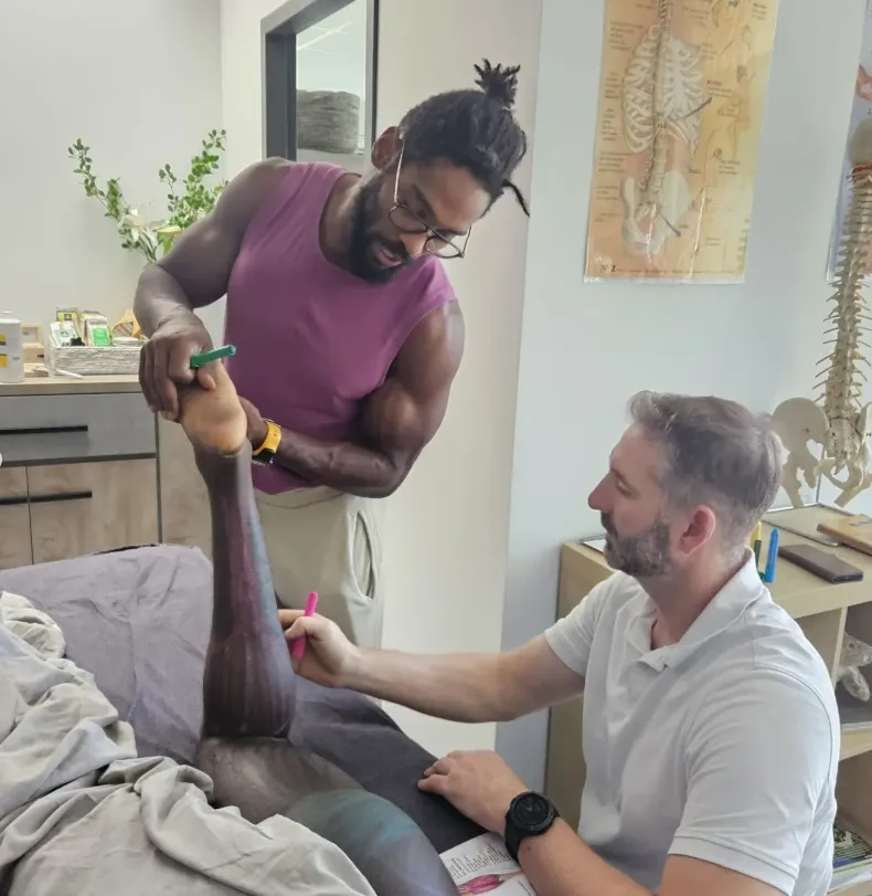 Formation en anatomie palpatoire — Azur Massages