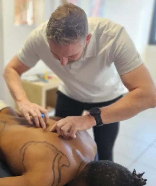 Formation en anatomie palpatoire — Azur Massages